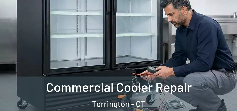 Commercial Cooler Repair Torrington - CT
