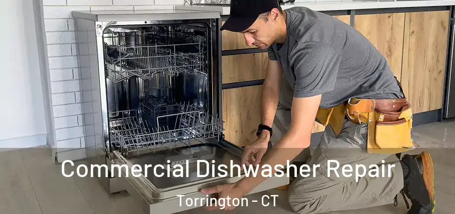  Commercial Dishwasher Repair Torrington - CT
