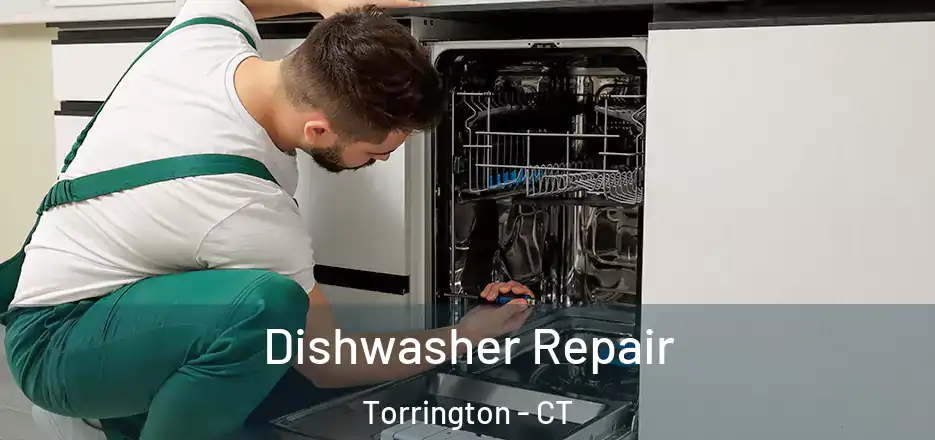  Dishwasher Repair Torrington - CT