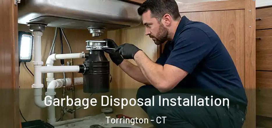 Garbage Disposal Installation Torrington - CT