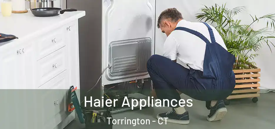  Haier Appliances Torrington - CT