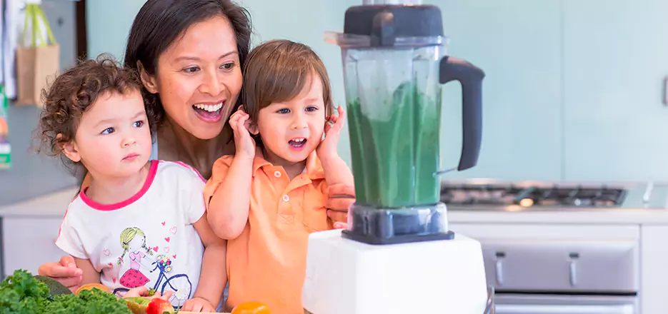 Juicer and Mixer Blender Repair in Torrington 