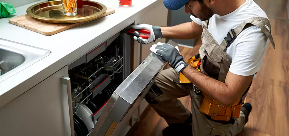 Same Day Dishwasher Not Draining Repair in Torrington