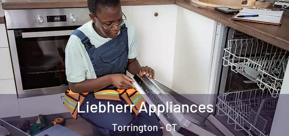  Liebherr Appliances Torrington - CT