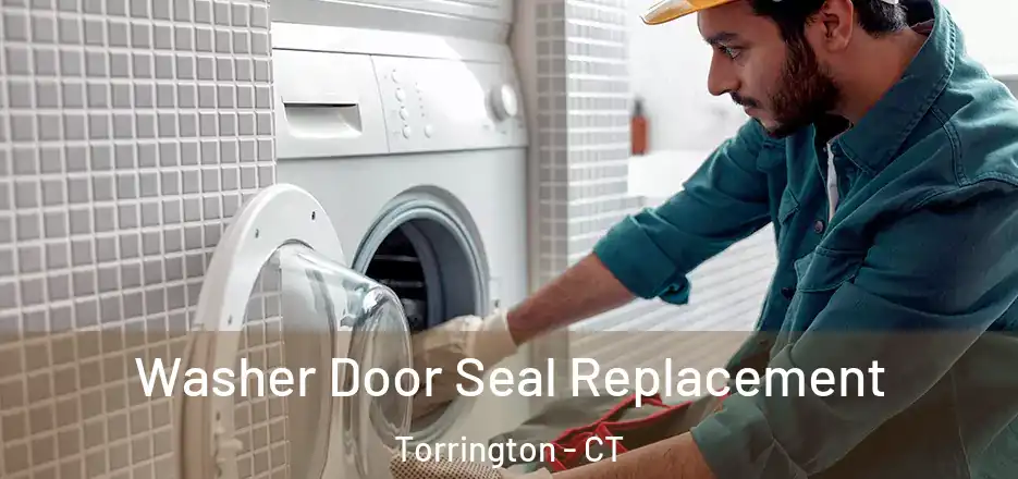 Washer Door Seal Replacement Torrington - CT