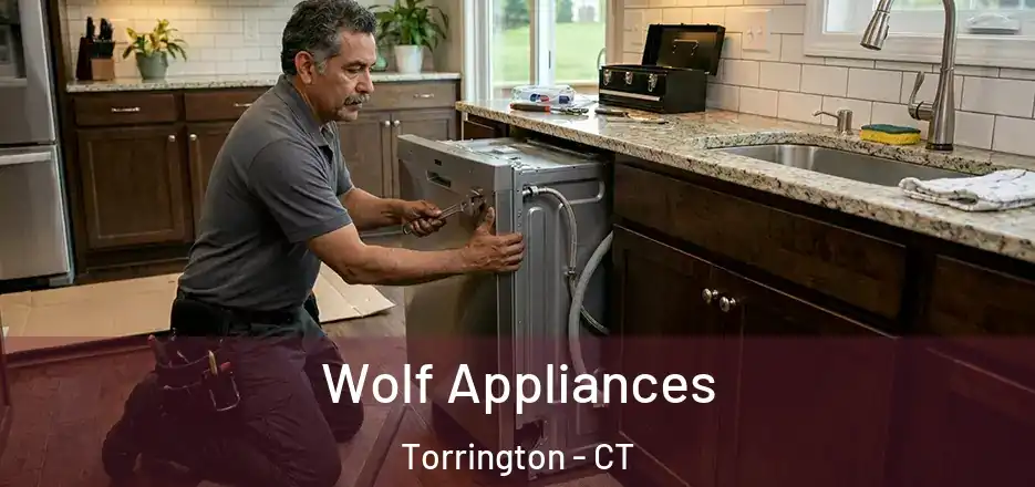 Wolf Appliances Torrington - CT